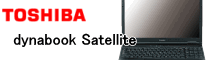  Satellite